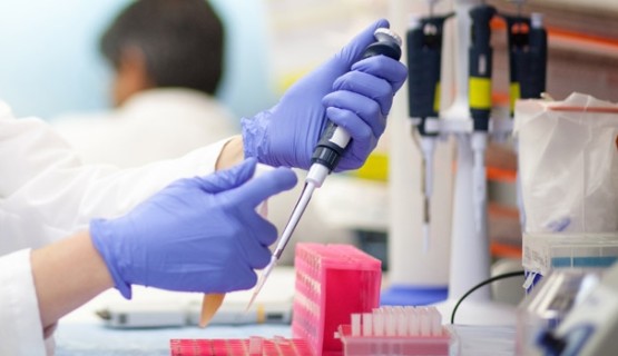lab lab